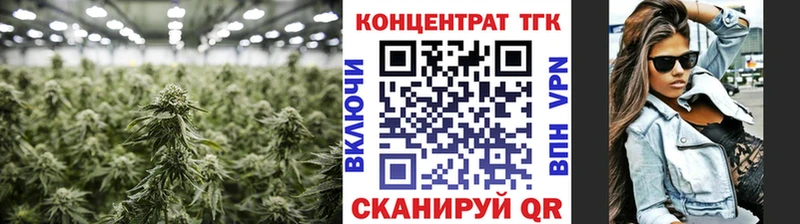 ТГК концентрат  Купить где  Ермолино 
